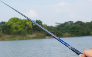 路亚黑鱼适合用哪种调性的鱼竿，H或XH硬度的雷强竿是适宜选择