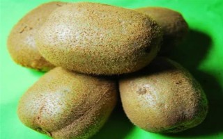 猕猴桃的名字由来，是受到猕猴的喜爱