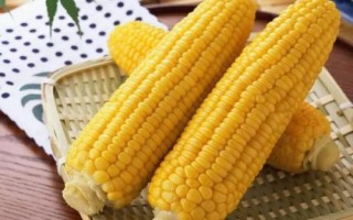 哪些农作物在秋季成熟，包括花生、玉米、西红柿等品种