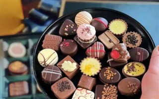 狗狗能吃水果吗，从以下5点出发去饲喂