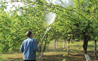 对果树使用农药的原则，选择正确的药物才能起到防效
