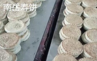 衡山县的特产,南岳寿饼是著名的旅游特产之一