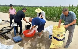 冲施肥的使用技巧,需正确选择冲施肥的肥料种类