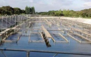 夏季水产养殖技术，每次注水深度保持在12-14厘米左右