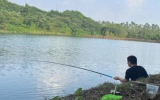 钓鲤鱼是钓底还是钓浮，可以钓底也可以钓浮