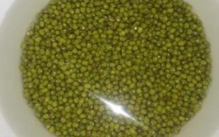 绿豆芽种植技术,选种是培育的第一步