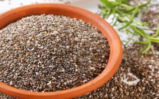 秋天养殖迷迭香的方法，减少浇水次数避免烂根