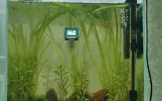 鱼缸如何换水，一般采用热水兑冷水的方式