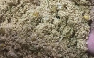 钓鱼窝料自制配方,可使用曲酒、玉米、麦麸等材料进行配制