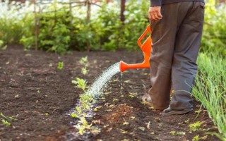 磷肥施用方案，要因土施用
