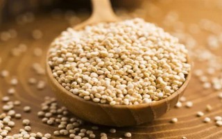 种植藜麦的前景，当前市场需求大前景可观