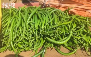 杭椒与线椒有什么区别,外观、口感、食用方法均不同
