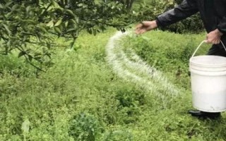 怎么使用微量元素水溶肥，分为土壤施肥、种子处理、根外追肥