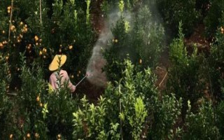 炔螨特的使用注意事项，需要做好防护措施