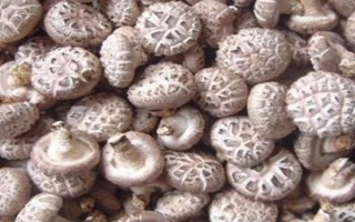 花菇小的好还是大的好，小花菇比大花菇好