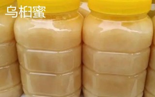 乌桕蜜和枇杷蜜哪个更好，枇杷蜜的味道稍胜一筹