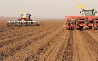 影响玉米播种的因素，温度的影响较大