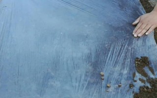 温室大棚蔬菜冬季浇水注意事项，要坚持做到膜下暗灌