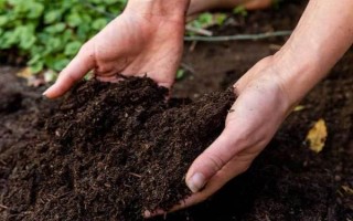 磷肥施用方案，要因土施用