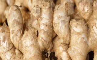 生姜的产地，我国东部、西南部等地区都有种植