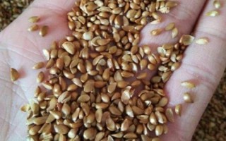 农资包括什么东西，包括种子、肥料、农药等