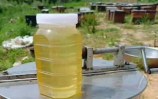 洋槐蜜30块一斤的是真吗，或多或少可能有些问题