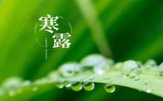 2024年寒露是哪一天，2024年10月8日