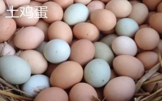 土鸡蛋和饲料鸡蛋怎么区分，营养价值基本一样