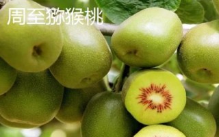 什么地方产的猕猴桃好吃，在我国南北各地均有出产