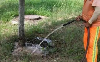 风铃木的寓意，花语是感谢