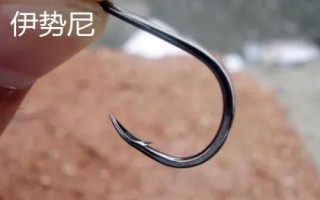 5号千又钩与几号伊势尼钩相当,千又钩属于粗条钩