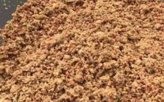 初夏如何钓鱼，水草区是钓鱼最理想的钓位