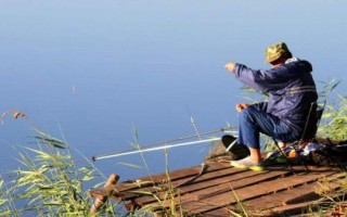 秋季能钓鲤鱼吗，秋季适合钓鲤鱼