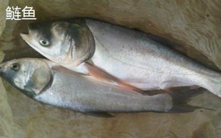 几号新关东钩能够大小通杀，0.3号钩可以勉强做到