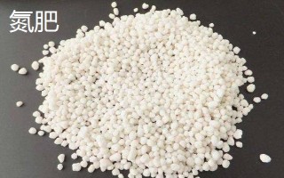 绿萝需要哪些肥料,以氮肥、钾肥、自制肥为宜