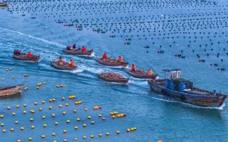 塞内加尔海域渔业资源丰富是什么原因，当地气温适宜