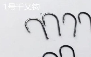 不同型号的千又钩可以钓什么鱼，大部分均可垂钓罗非鱼