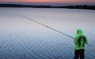 鳡鱼怎么钓，5-10月是钓鳡鱼的最佳时节