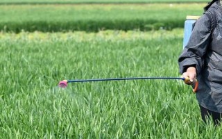 百草枯的使用方法，在不同作物带上的使用方法不同