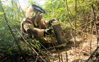 虎头蜂防蜂服的价格，一套需要180-240元左右