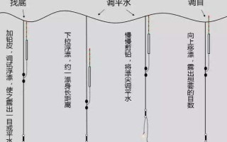 钓鱼挂泥鳅的方法，常用背挂法、鼻挂法和尾挂法