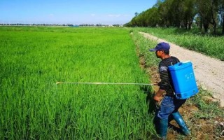 氮酮的作用机理，通过渗透让有效成分进入生物体内