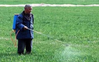 多菌灵的安全期是多少天,通常为15-30天左右