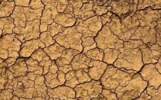 土壤酸化怎么改良，使用有机肥可调节酸碱值