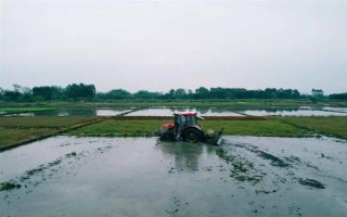 拖拉机水田作业防陷车小窍门，翻越田埂时尽可能用镐头刨低田埂