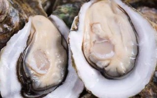 通常用什么鱼饵海钓,鱼饵有活饵和死饵