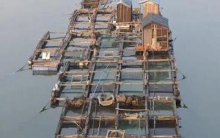 网箱养鱼分类和设置方法，可分为固式网箱、浮式网箱、沉式网箱