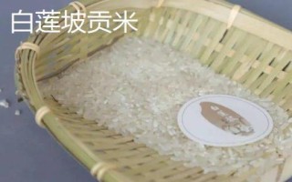 安徽省长丰县的特产，下塘烧饼深受消费者喜爱