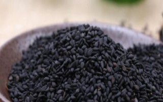 哪些肥料不适合芝麻使用,磷肥、酸性肥料、叶面肥等都不适合