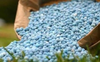 氮元素是什么肥料，通常是一种氮肥